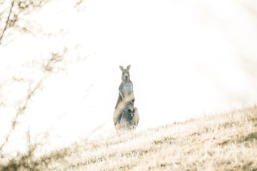 自分なんて誰からも愛されない と思ったら心掛けたいこと